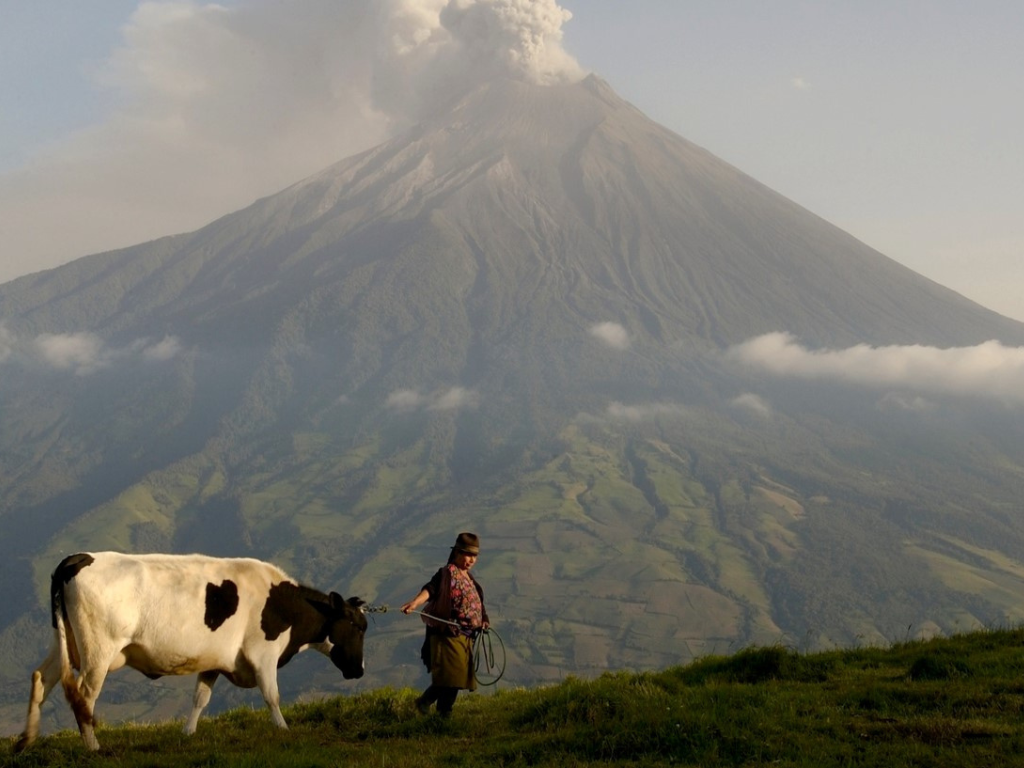 Woman with cow and volcano erupting in background