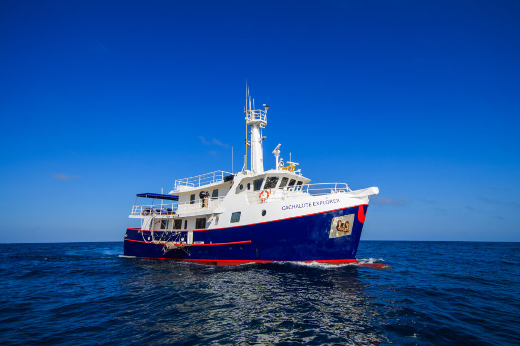 M/Y Cachalote Explorer Galapagos