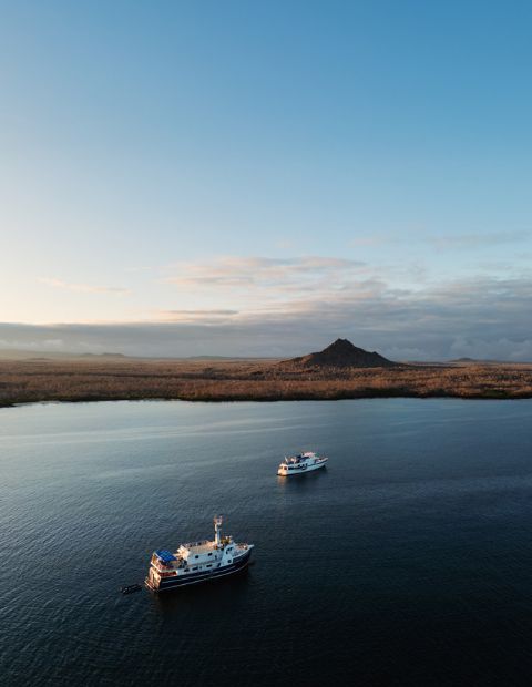 Beluga and Cachalote motoring_aerial