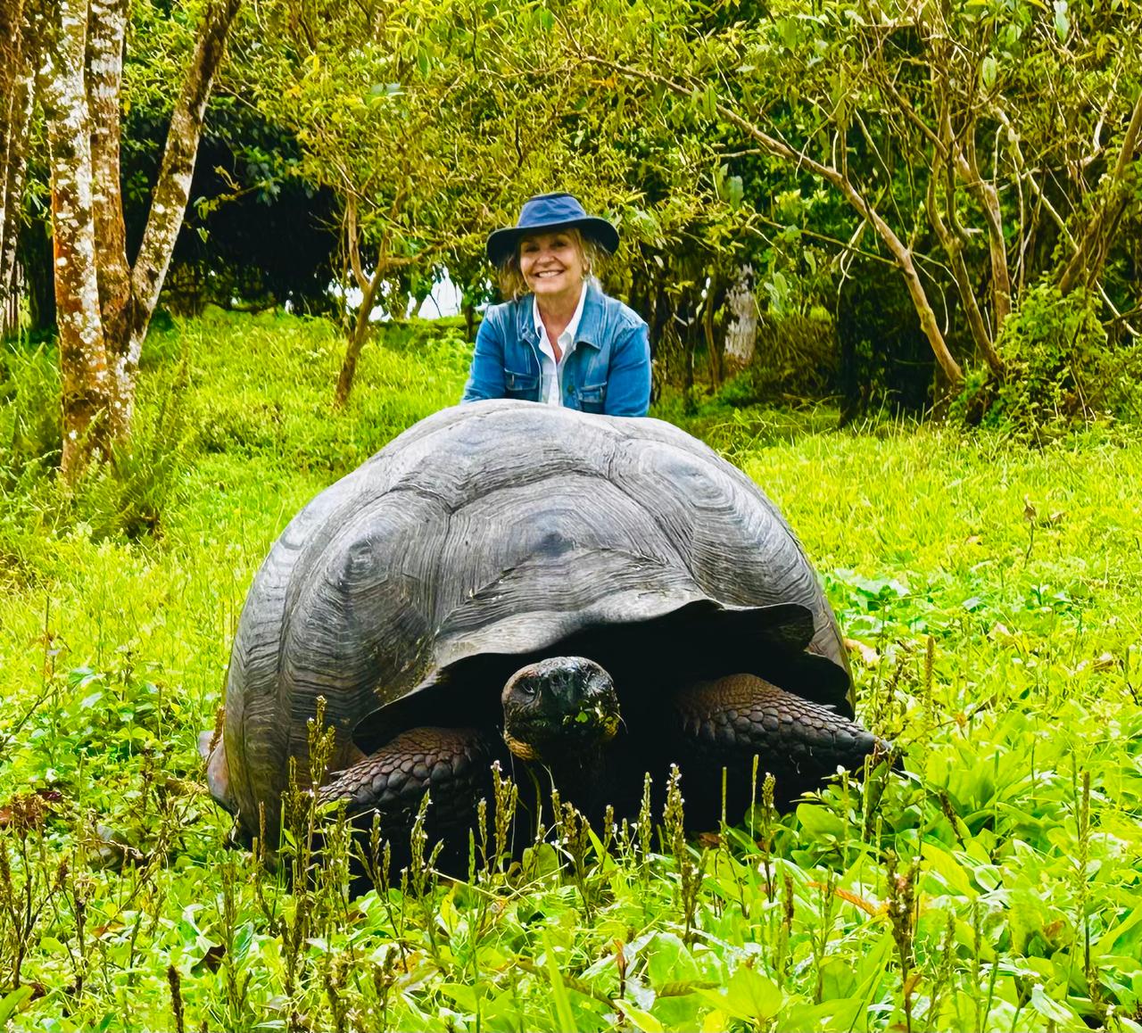 Judy and Tortoise