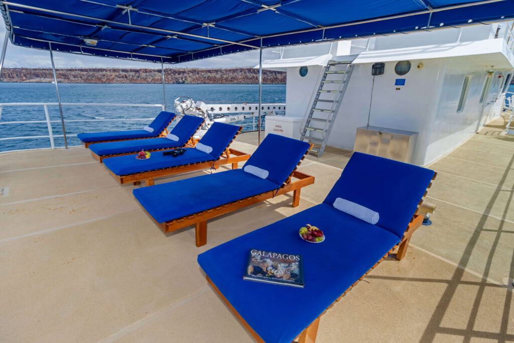 Cachalote Explorer's Outer Deck