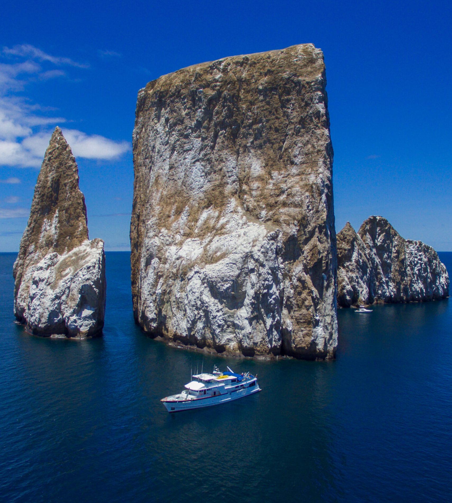 Beluga at Kicker Rock