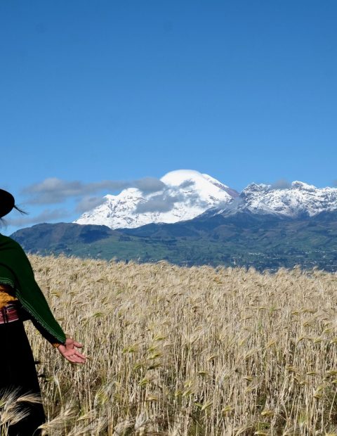 Mainland Ecuador woman