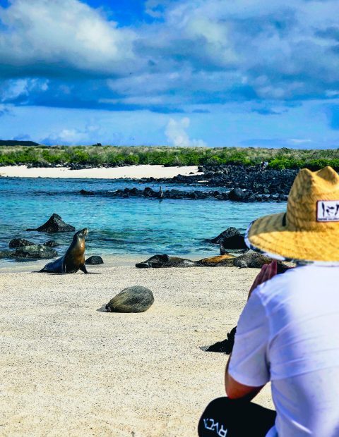 Tourist taking a photo of a sea lion